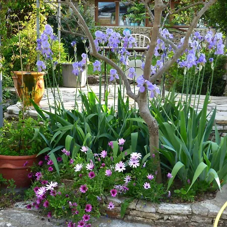 La Pause Nimoise 招待所 4*