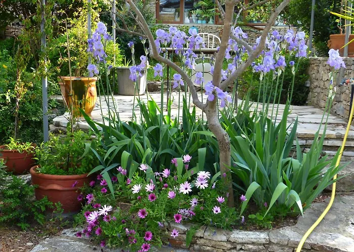 La Pause Nimoise 招待所 4*